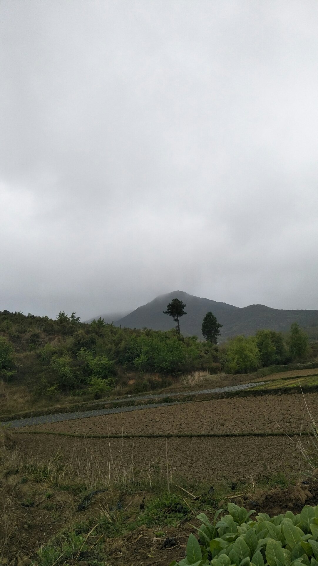 孙口乡天气预报更新通知