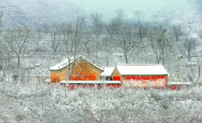 洼雪村最新动态报道