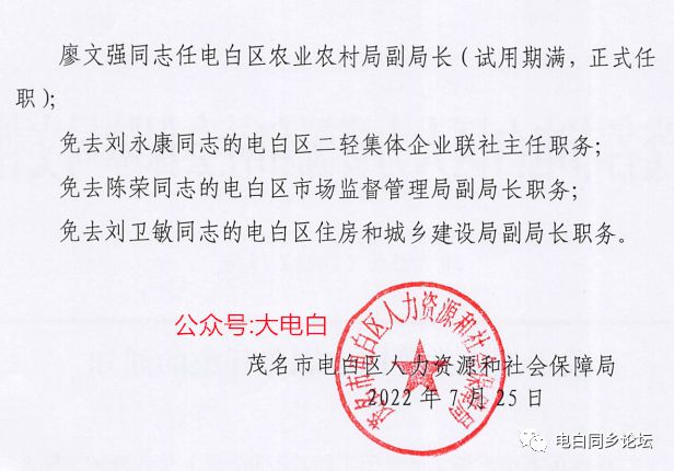 苍坪村委会人事任命完成，村级治理迈向新台阶