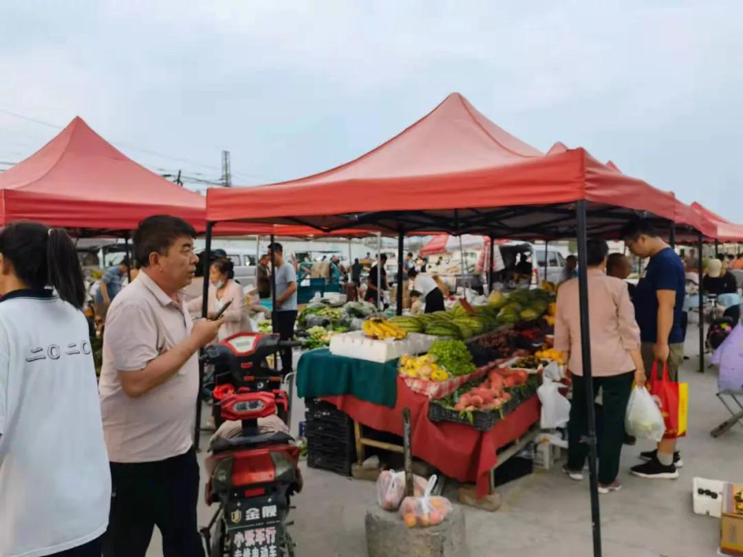 麻池镇未来繁荣新蓝图，最新发展规划揭秘